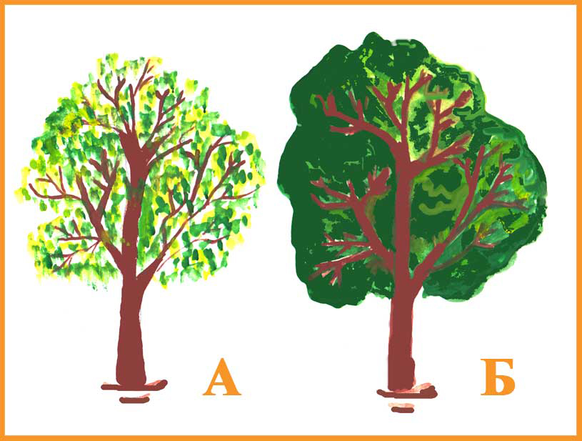 Как научить ребенка рисовать деревья